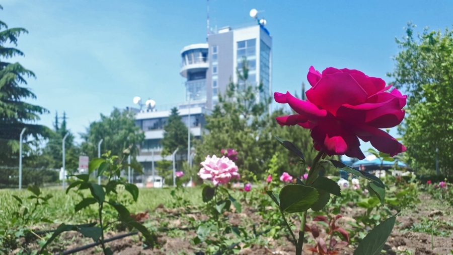 Летище Варна и Летище Бургас стават посланици на българската роза